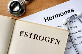 Tác dụng của estrogen đối với cơ thể là gì? 